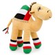 Emirati Camel