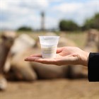 Шубат и верблюжье молоко - что общего?