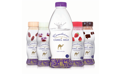 Верблюжье молоко Cameliсious будет экспортиртироваться в США.