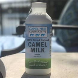 Новый производитель натурального верблюжьего молока Camel Milk Cooperative выйдет на рынок уже в ближайшее время