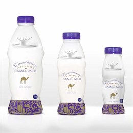 Открыт предзаказ на свежее верблюжье  молоко