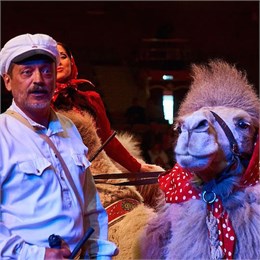 В донецком цирке «Космос» верблюды сыграют жен Абдулы из «Белого солнца пустыни»