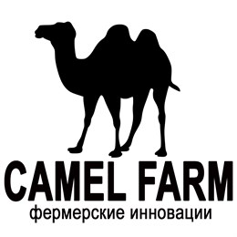 В онлайн-магазине Сamelmilk.Boutique теперь можно купить живое поголовье верблюдов