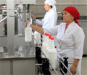 Казахстан: в ЮКО сельхозкооператив «Желмая» ежедневно производит до 1500 тонн шубата