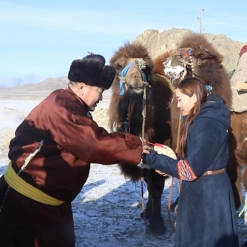 Интернациональная группа отправилась в трехлетнее путешествие из Монголии в Англию