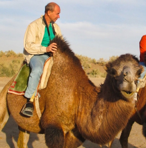 В пустыню Кызылкум туристов привлекут верблюды