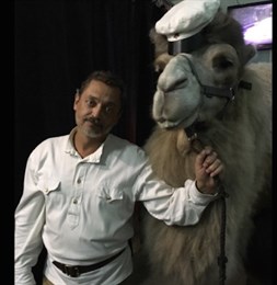 Верблюда-флегматика из цирка продают на новосибирском «Авито»