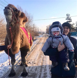 «Глобальное потепление в действии»: Верблюд бегал по дорогам Приморья