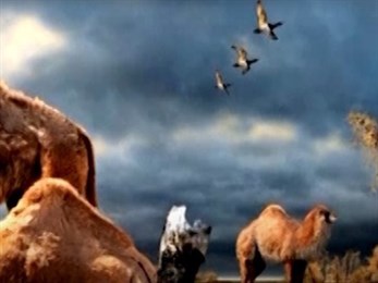 В Канаде обнаружена ДНК верблюда ледникового периода